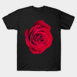 Whole Lotta Red Roses Watercolor Style Pattern Gift Ideas T-Shirt